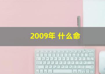 2009年 什么命